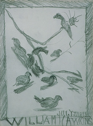 Ten Birds in a Tree Graphite on paper 12 x 9 inches 