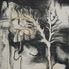 Image of printwork by Kim Vito titled Nature Study: Spring