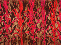 Sarah E. Fairchild, Field Corn, 2008, fluorescent, metallic acrylic paint on paper, 45 x 60