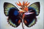 The Spirit of Cleveland: Visual Arts Recipients of the Cleveland Arts Prize 1961 - 1995