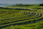 Back to Reality, More and Less: Contemporary Ohio Landscape