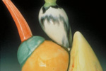Transcending Traditions: Ohio Artists in Clay & Fiber