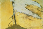 Common Ground: Contemporary Landscapes from Israel and Ohio