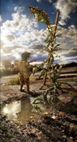 Homebound by Clifton Harvey
