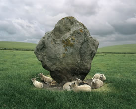 Sheep and Standing Stone