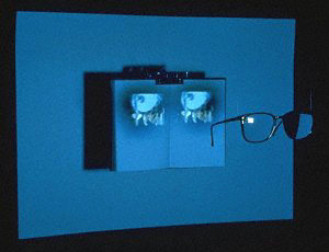 Kay Willens 
Mirage (detail) 
1997 video installation courtesy the artist 