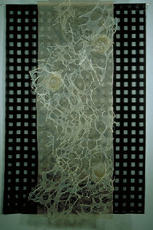 JoAnn Giordano, 1999 Broken Web: Breast Cancer, photocopy transfer, applique, silk, organza, gut, synthetic fabrics 