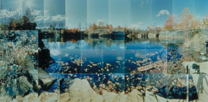 Masumi Hayashi, 1989 
E.P.A. Superfund Site 666 
panoramic photo collage with text 
19" x 39" or 48.25 cm x 99 cm 
