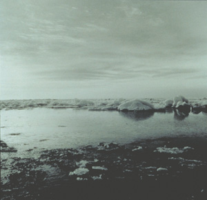 Holly Morrison 
Facing North , #4 
September 1995- July 1996 
gelatin silver prints, eight units each 24" x 20" 