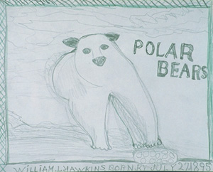 Polar Bears Colored graphite on paper 11 x 14 inches 
