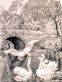 Feodor Rojankovsky (Russia)
“Swans in River”; The Ugly Duckling, 1945
Graphite, pen and ink, watercolor, 18.5” x 15”
