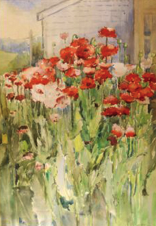Annie Sykes
Poppies
1910
Watercolor on paper
18 1/2" x 13"