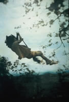 Image of mixed-media work by Bridget Murphy Milligan titled Swing Tree