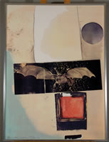 Serigraph titled Rays by Robert Rauschenberg, from the collection of the Columbus Museum of Art, Columbus, Ohio, purchased with the aid of funds from the National Endowment for the Arts and the Women's Board of the Columbus Museum of Art
