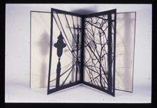 Image of work titled Shadow Play #2 by Julie Friedman