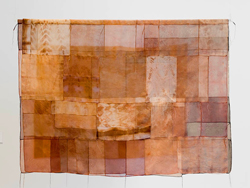 image of a quilt by Pamela Fitzsimons titled Extinction Wrap