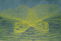 Image of a print by Judith Steele titled Aqua, collagraph, linocut relief, 30 x 20