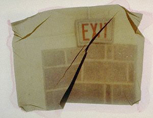 Elise Mitchell Sanford 
In These Spaces (detail) 
1997 
Polaroid emulsion transfer, watercolor paper, 3 1/4" x 4 1/4" courtesy the artist 